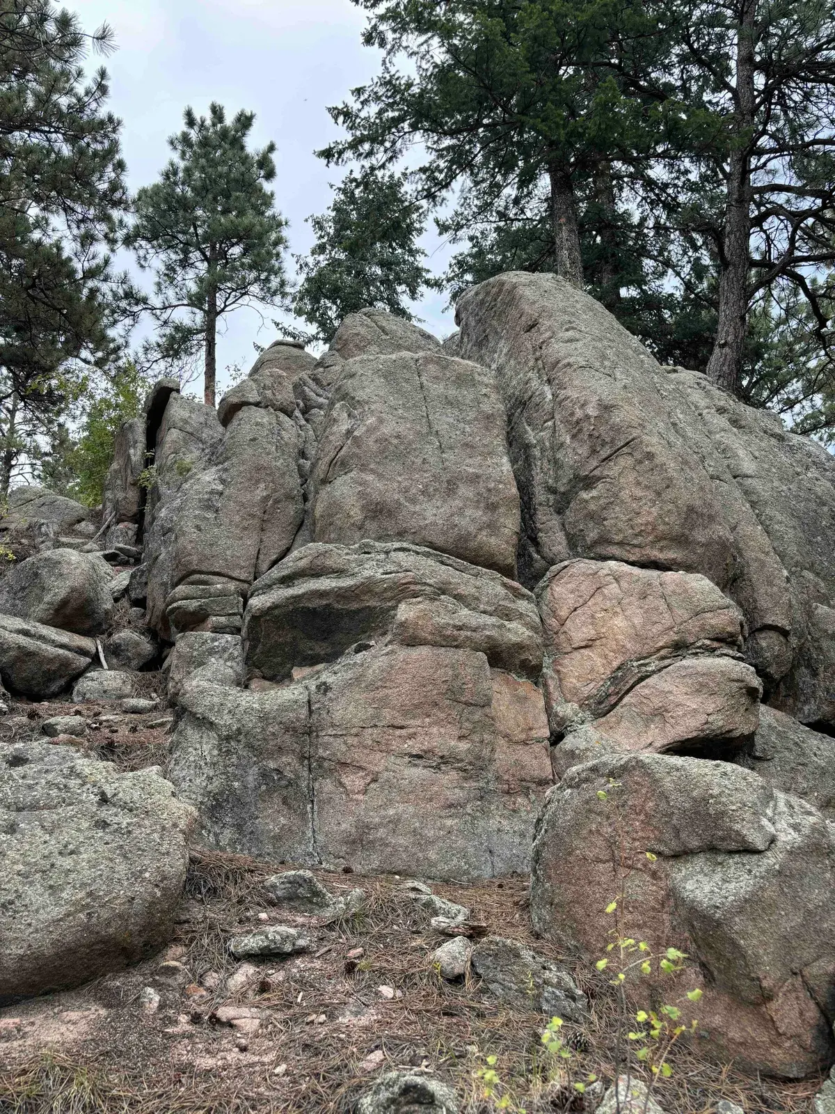 The land at Blue Sky Sanctuary